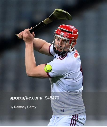 Galway v Wexford - Leinster GAA Hurling Senior Championship Semi-Final