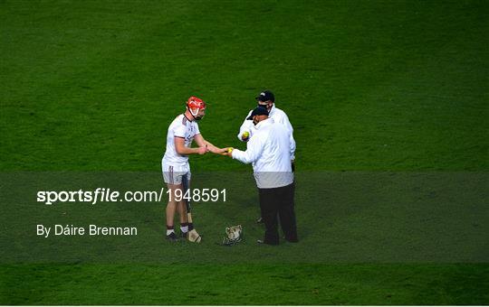 Galway v Wexford - Leinster GAA Hurling Senior Championship Semi-Final Galway v Wexford - Leinster GAA Hurling Senior Championship Semi-Final