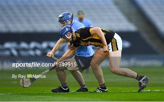 Dublin v Kilkenny - Leinster GAA Hurling Senior Championship Semi-Final