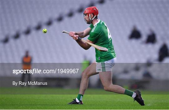 Tipperary v Limerick - Munster GAA Hurling Senior Championship Semi-Final