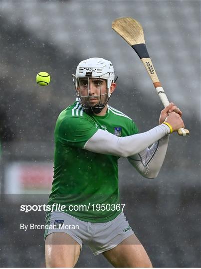 Tipperary v Limerick - Munster GAA Hurling Senior Championship Semi-Final