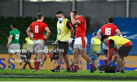 Ireland v Wales - Autumn Nations Cup