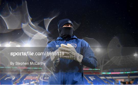 Republic of Ireland Training Session