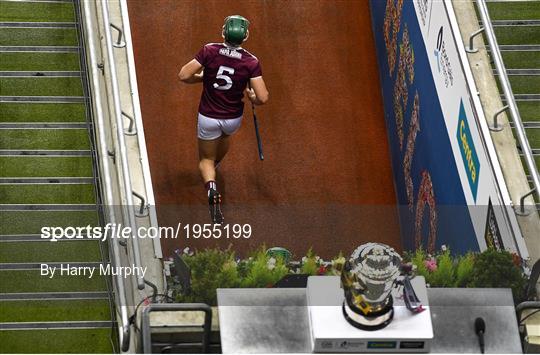 Kilkenny v Galway - Leinster GAA Hurling Senior Championship Final