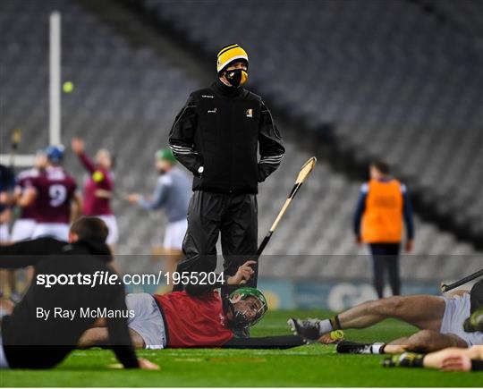 Kilkenny v Galway - Leinster GAA Hurling Senior Championship Final