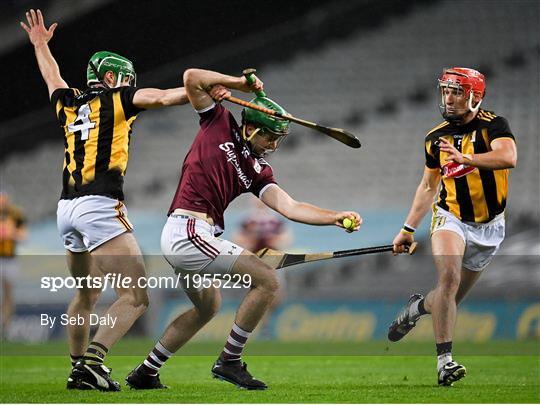 Kilkenny v Galway - Leinster GAA Hurling Senior Championship Final