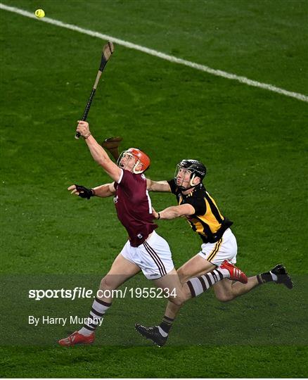 Kilkenny v Galway - Leinster GAA Hurling Senior Championship Final