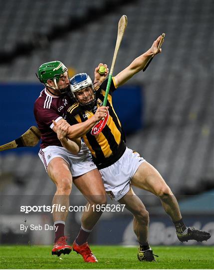 Kilkenny v Galway - Leinster GAA Hurling Senior Championship Final