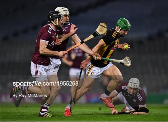 Kilkenny v Galway - Leinster GAA Hurling Senior Championship Final