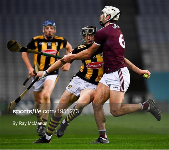 Kilkenny v Galway - Leinster GAA Hurling Senior Championship Final