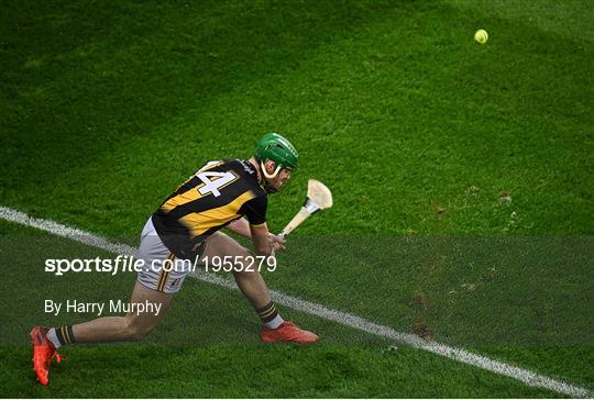 Kilkenny v Galway - Leinster GAA Hurling Senior Championship Final