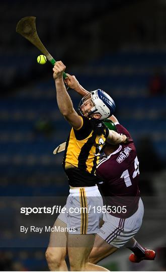 Kilkenny v Galway - Leinster GAA Hurling Senior Championship Final