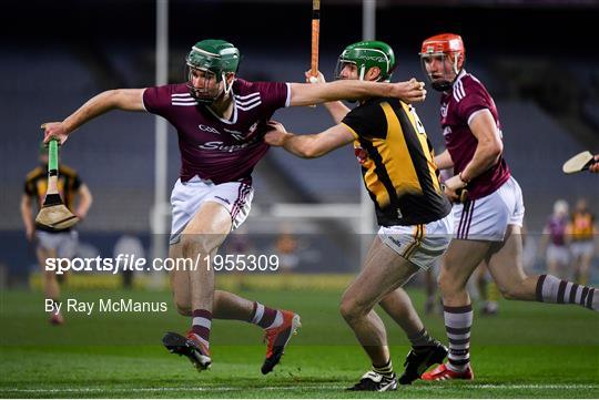 Kilkenny v Galway - Leinster GAA Hurling Senior Championship Final