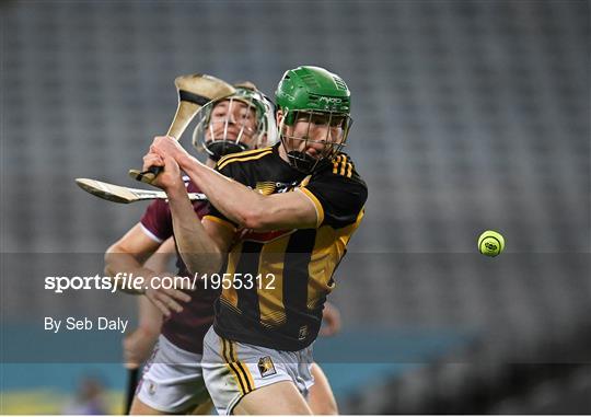 Kilkenny v Galway - Leinster GAA Hurling Senior Championship Final