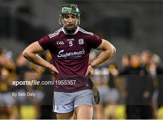 Kilkenny v Galway - Leinster GAA Hurling Senior Championship Final