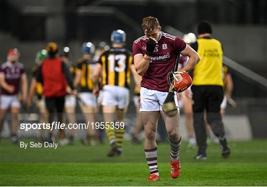 Kilkenny v Galway - Leinster GAA Hurling Senior Championship Final