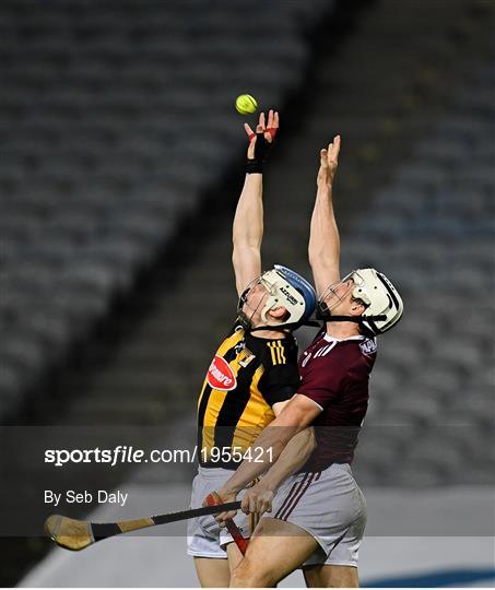 Kilkenny v Galway - Leinster GAA Hurling Senior Championship Final