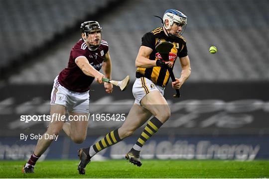 Kilkenny v Galway - Leinster GAA Hurling Senior Championship Final