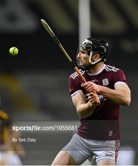 Kilkenny v Galway - Leinster GAA Hurling Senior Championship Final