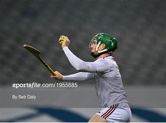 Kilkenny v Galway - Leinster GAA Hurling Senior Championship Final