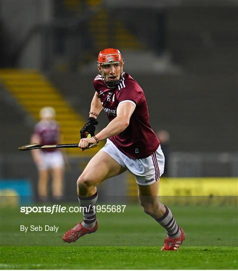 Kilkenny v Galway - Leinster GAA Hurling Senior Championship Final