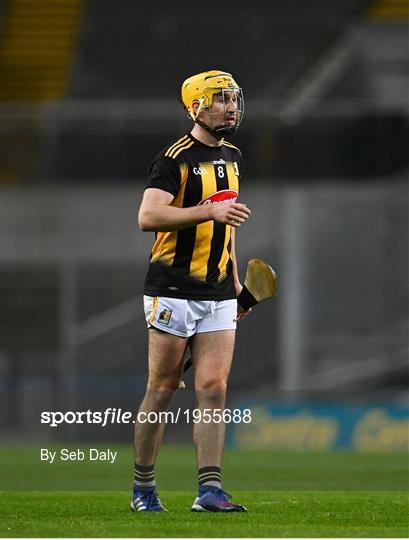 Kilkenny v Galway - Leinster GAA Hurling Senior Championship Final