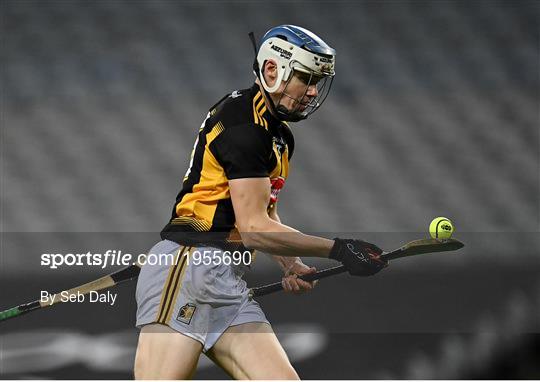 Kilkenny v Galway - Leinster GAA Hurling Senior Championship Final