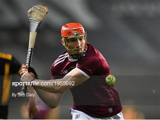 Kilkenny v Galway - Leinster GAA Hurling Senior Championship Final