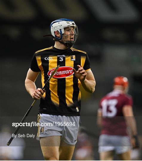 Kilkenny v Galway - Leinster GAA Hurling Senior Championship Final