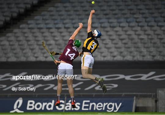 Kilkenny v Galway - Leinster GAA Hurling Senior Championship Final