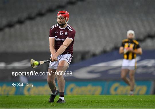 Kilkenny v Galway - Leinster GAA Hurling Senior Championship Final