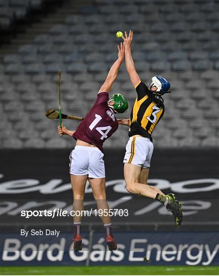 Kilkenny v Galway - Leinster GAA Hurling Senior Championship Final