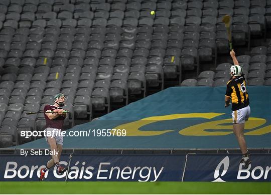 Kilkenny v Galway - Leinster GAA Hurling Senior Championship Final