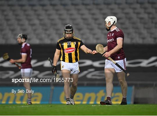 Kilkenny v Galway - Leinster GAA Hurling Senior Championship Final