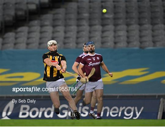 Kilkenny v Galway - Leinster GAA Hurling Senior Championship Final