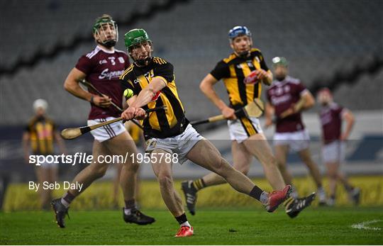 Kilkenny v Galway - Leinster GAA Hurling Senior Championship Final