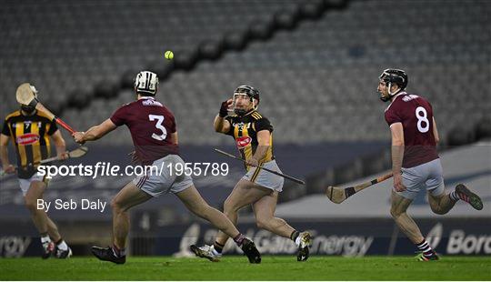 Kilkenny v Galway - Leinster GAA Hurling Senior Championship Final