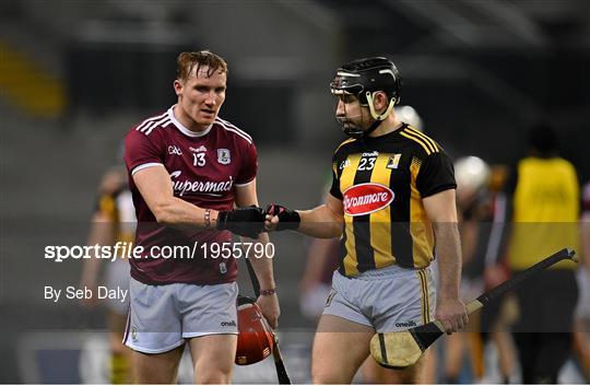 Kilkenny v Galway - Leinster GAA Hurling Senior Championship Final