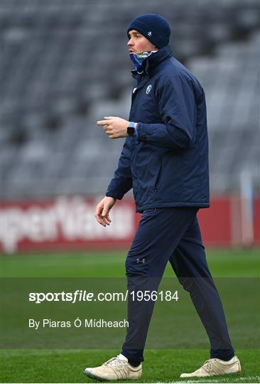 Dublin v Laois - Leinster GAA Football Senior Championship Semi-Final