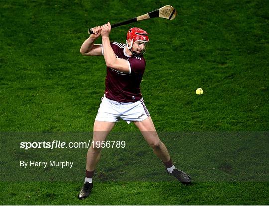 Kilkenny v Galway - Leinster GAA Hurling Senior Championship Final