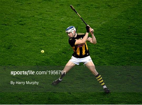 Kilkenny v Galway - Leinster GAA Hurling Senior Championship Final