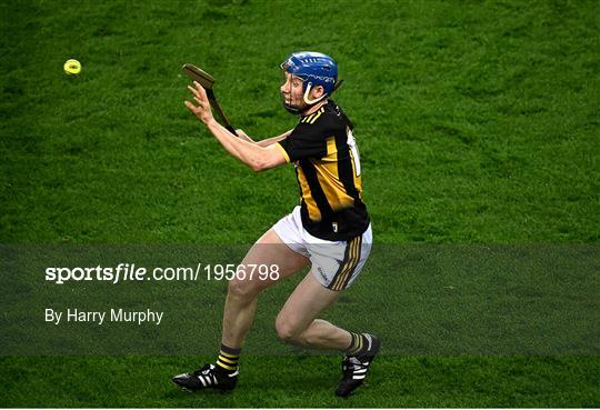 Kilkenny v Galway - Leinster GAA Hurling Senior Championship Final