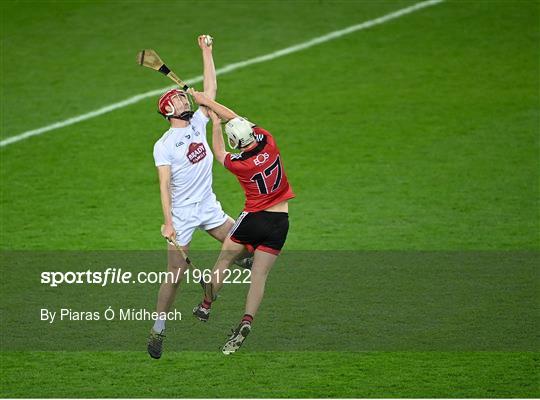 Down v Kildare - Christy Ring Cup Final