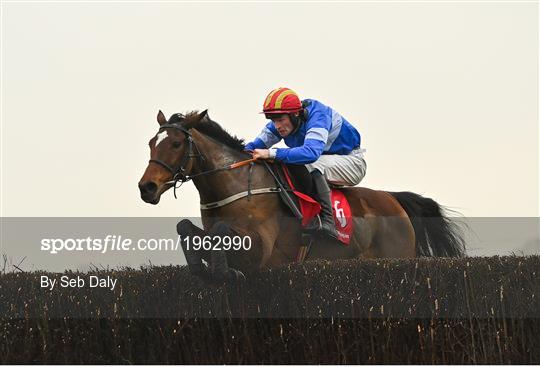 Fairyhouse Winter Festival - Day Two