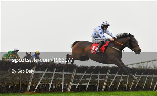 Fairyhouse Winter Festival - Day Two Fairyhouse Winter Festival - Day Two