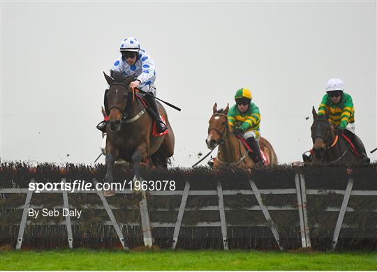 Fairyhouse Winter Festival - Day Two