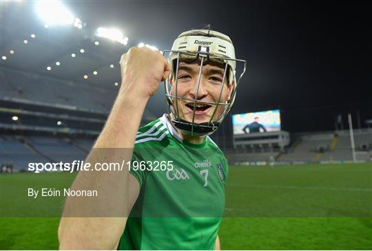 Limerick v Galway - GAA Hurling All-Ireland Senior Championship Semi-Final Limerick v Galway - GAA Hurling All-Ireland Senior Championship Semi-Final
