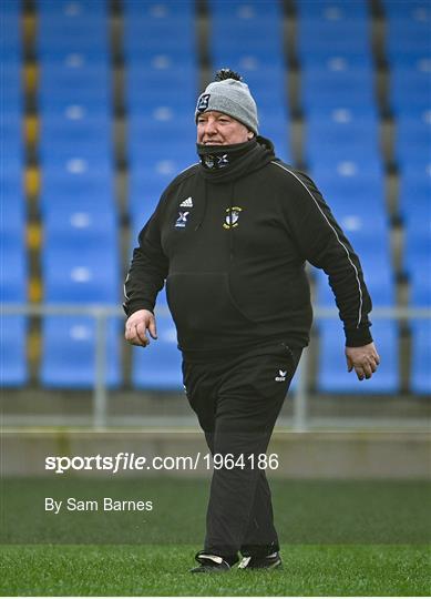 Roscommon v Westmeath - TG4 All-Ireland Intermediate Ladies Football Championship Semi-Final