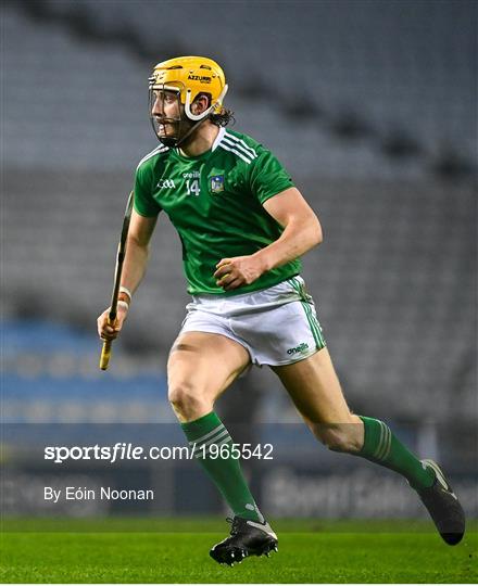 Limerick v Galway - GAA Hurling All-Ireland Senior Championship Semi-Final Limerick v Galway - GAA Hurling All-Ireland Senior Championship Semi-Final