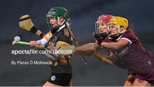 Galway v Kilkenny - Liberty Insurance All-Ireland Senior Camogie Championship Final